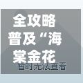 全攻略普及“海棠金花房卡”详细房卡怎么购买教程