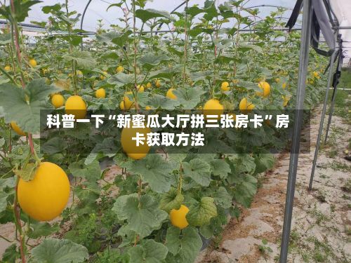科普一下“新蜜瓜大厅拼三张房卡”房卡获取方法-第3张图片