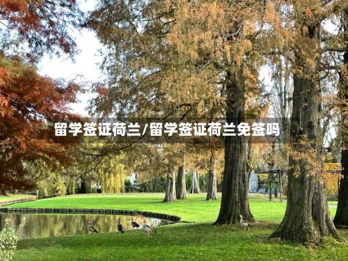 留学签证荷兰/留学签证荷兰免签吗