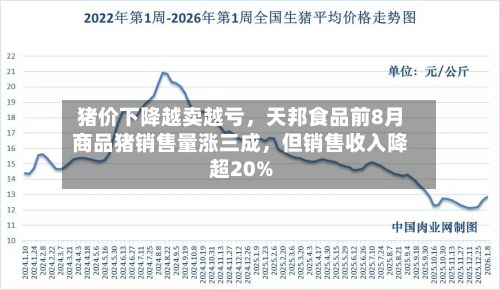 猪价下降越卖越亏	，天邦食品前8月商品猪销售量涨三成，但销售收入降超20%-第2张图片