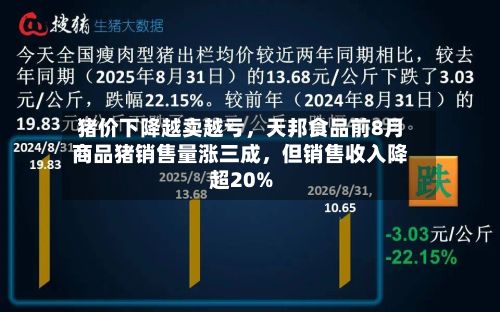 猪价下降越卖越亏	，天邦食品前8月商品猪销售量涨三成，但销售收入降超20%-第3张图片
