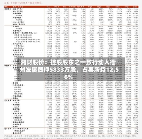 湘财股份：控股股东之一致行动人衢州发展质押5833万股，占其所持12.56%