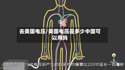 去美国电压/美国电压是多少中国可以用吗-第3张图片
