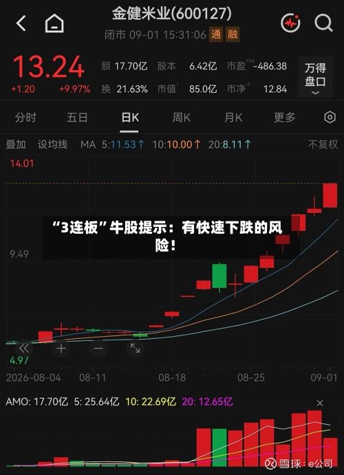 “3连板”牛股提示：有快速下跌的风险！-第2张图片