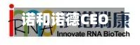 诺和诺德CEO:尚未对多肽热潮表示认同