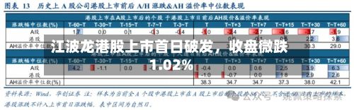 江波龙港股上市首日破发，收盘微跌1.02%-第1张图片