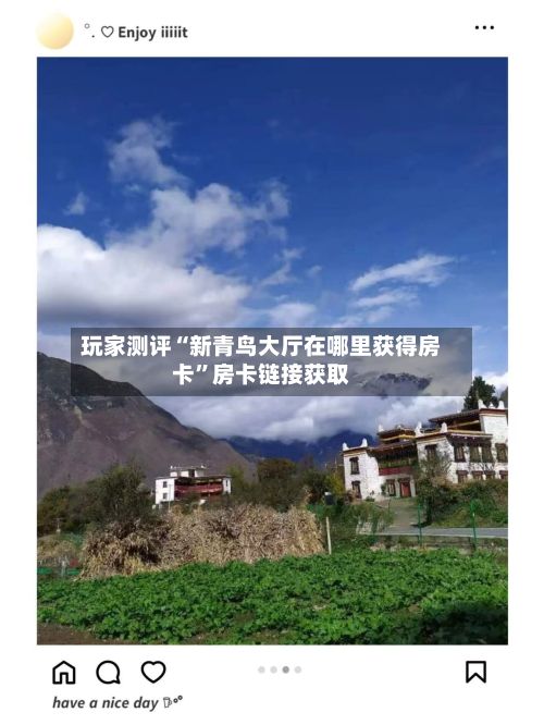 玩家测评“新青鸟大厅在哪里获得房卡”房卡链接获取-第3张图片