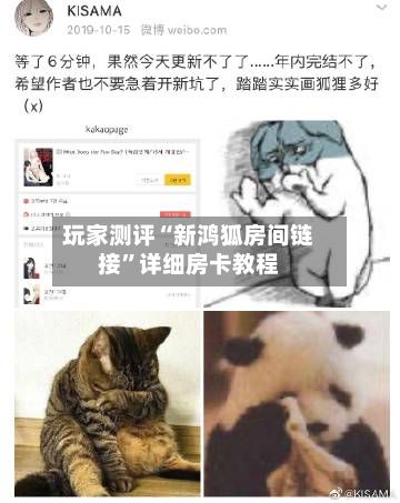 玩家测评“新鸿狐房间链接”详细房卡教程