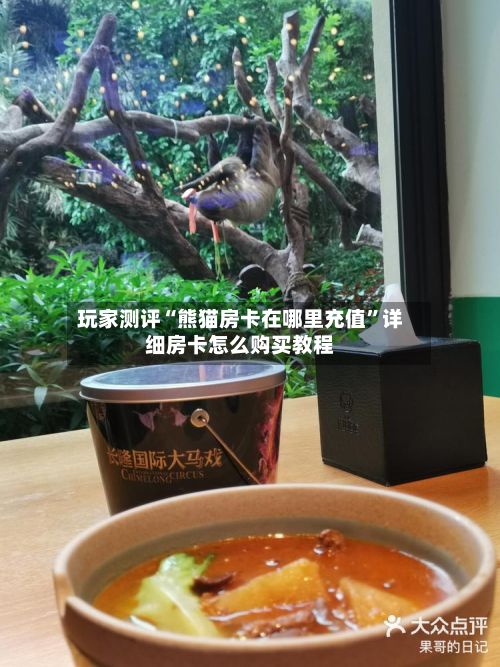玩家测评“熊猫房卡在哪里充值”详细房卡怎么购买教程