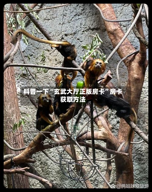 科普一下“玄武大厅正版房卡	”房卡获取方法-第2张图片