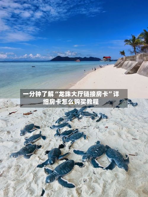 一分钟了解“龙珠大厅链接房卡”详细房卡怎么购买教程
