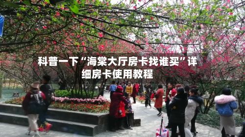科普一下“海棠大厅房卡找谁买”详细房卡使用教程