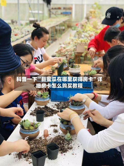 科普一下“新蜜瓜在哪里获得房卡”详细房卡怎么购买教程