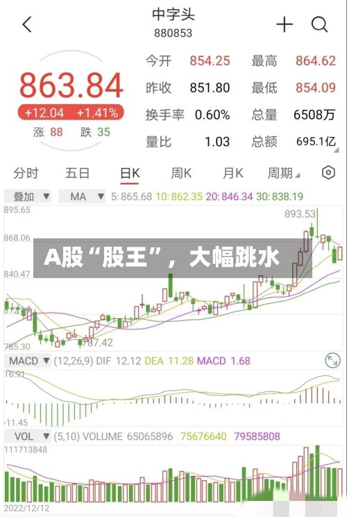 A股“股王”，大幅跳水-第3张图片