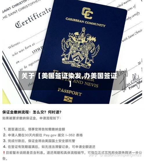 关于【美国签证染发,办美国签证】-第1张图片