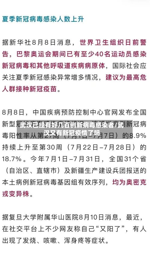武汉已经有好几百例新病毒感染者/武汉又有新冠疫情了吗-第2张图片