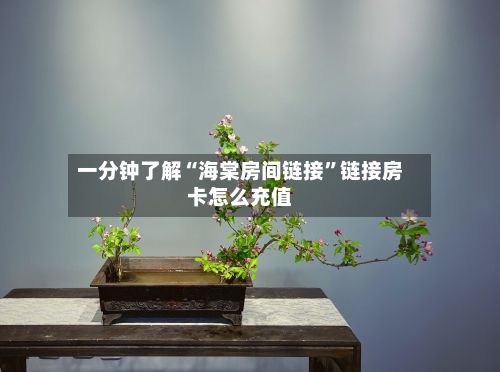 一分钟了解“海棠房间链接”链接房卡怎么充值-第3张图片