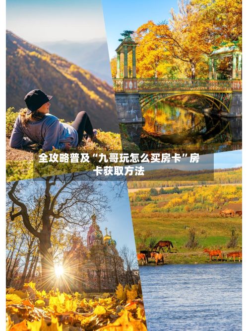 全攻略普及“九哥玩怎么买房卡”房卡获取方法-第2张图片