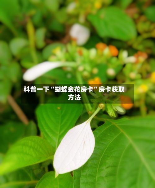 科普一下“蝴蝶金花房卡”房卡获取方法-第2张图片