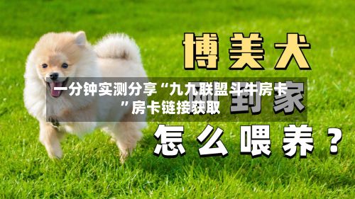 一分钟实测分享“九九联盟斗牛房卡”房卡链接获取-第2张图片