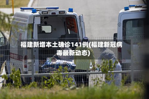 福建新增本土确诊141例(福建新冠病毒最新动态)-第2张图片