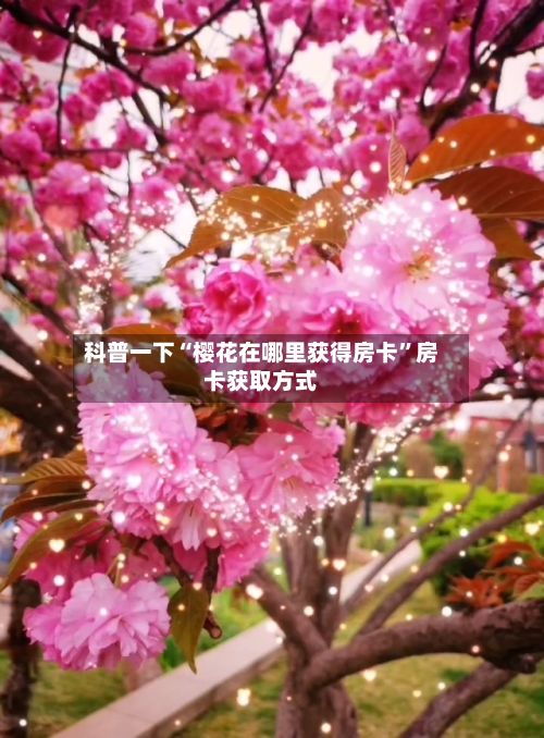 科普一下“樱花在哪里获得房卡”房卡获取方式-第2张图片