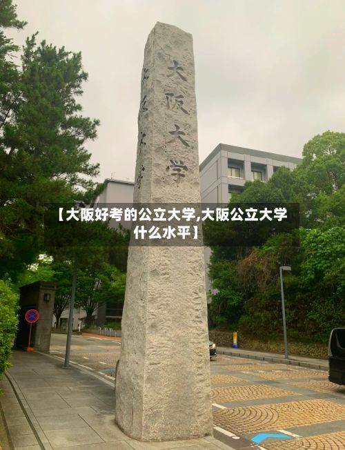 【大阪好考的公立大学,大阪公立大学什么水平】