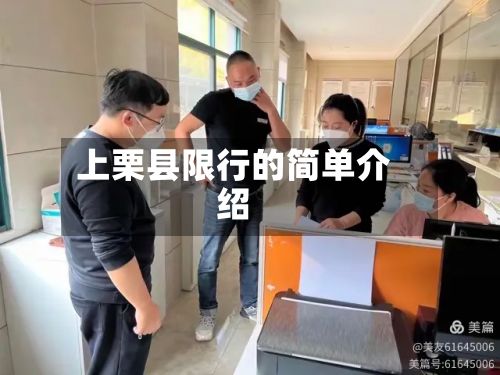 上栗县限行的简单介绍-第2张图片