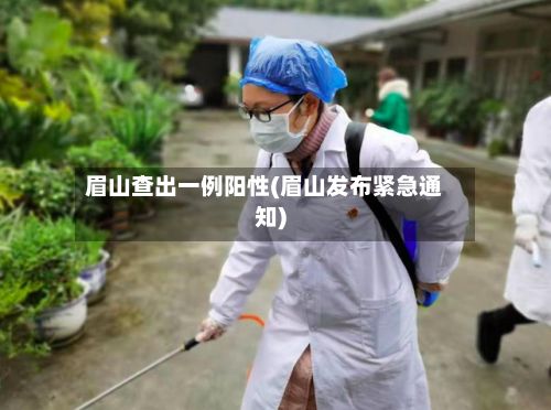 眉山查出一例阳性(眉山发布紧急通知)-第2张图片