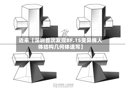 近来【深圳首次发现BF.15变异株人体结构几何体速写】