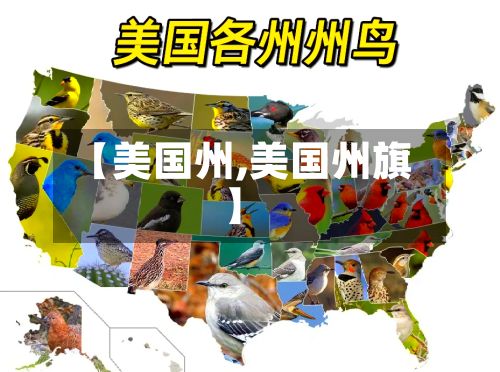 【美国州,美国州旗】