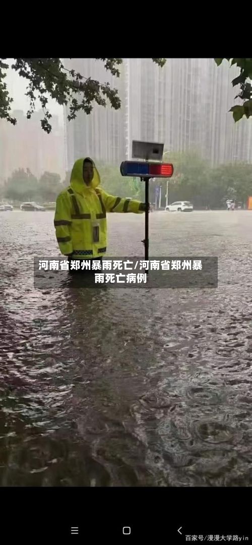 河南省郑州暴雨死亡/河南省郑州暴雨死亡病例