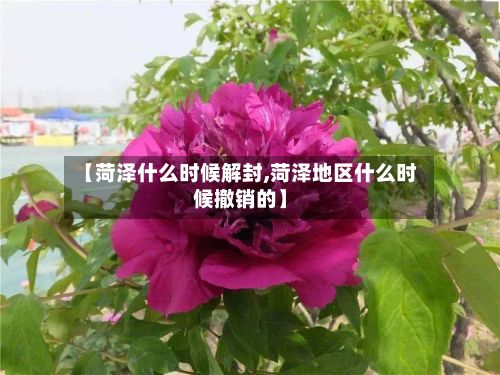 【菏泽什么时候解封,菏泽地区什么时候撤销的】