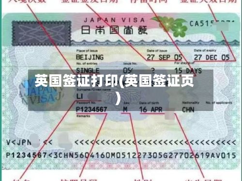 英国签证打印(英国签证页)-第3张图片