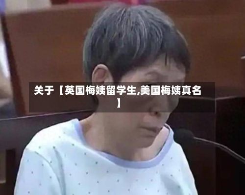 关于【英国梅姨留学生,美国梅姨真名】