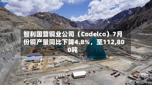 智利国营铜业公司(Codelco)7月份铜产量同比下降4.8%,至112,800吨