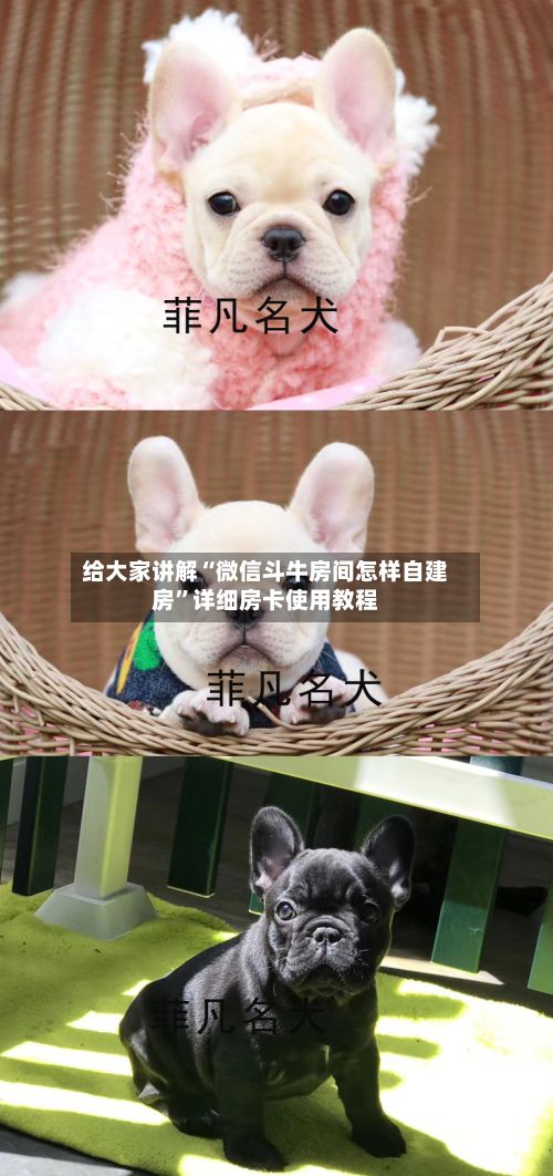 给大家讲解“微信斗牛房间怎样自建房	”详细房卡使用教程-第2张图片