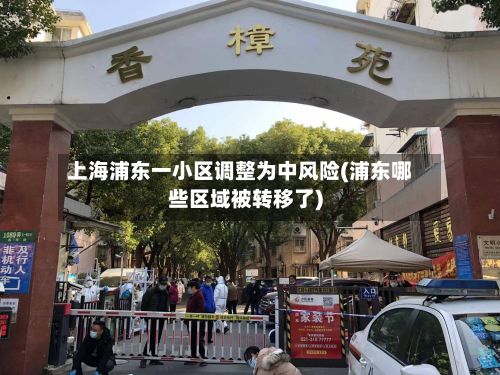 上海浦东一小区调整为中风险(浦东哪些区域被转移了)