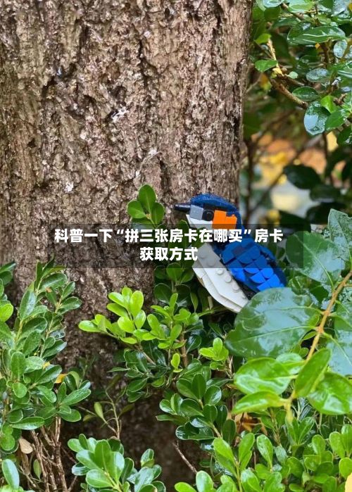 科普一下“拼三张房卡在哪买”房卡获取方式-第2张图片