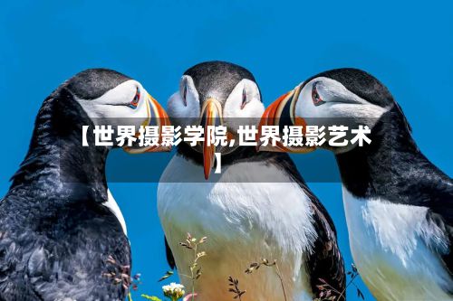 【世界摄影学院,世界摄影艺术】