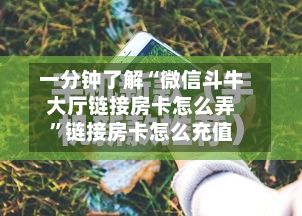 一分钟了解“微信斗牛大厅链接房卡怎么弄	”链接房卡怎么充值-第2张图片