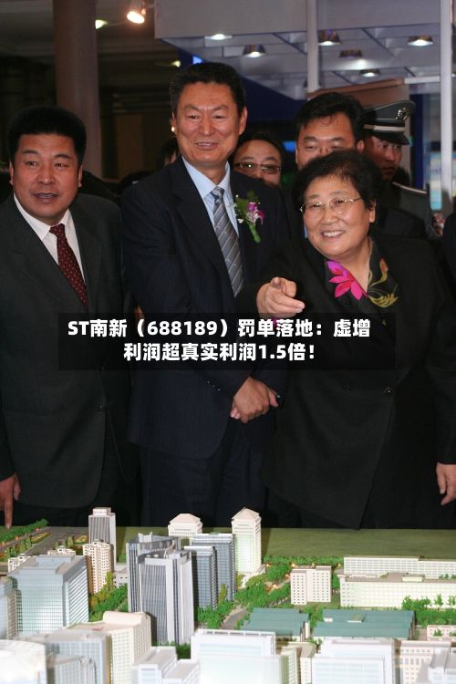 ST南新（688189）罚单落地：虚增利润超真实利润1.5倍！-第3张图片