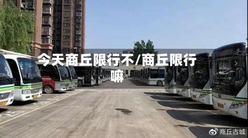 今天商丘限行不/商丘限行嘛-第2张图片