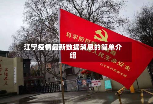 江宁疫情最新数据消息的简单介绍-第2张图片
