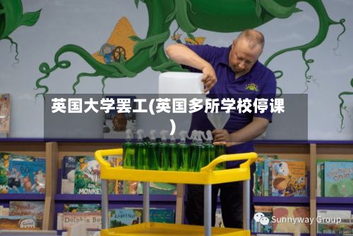 英国大学罢工(英国多所学校停课)-第3张图片