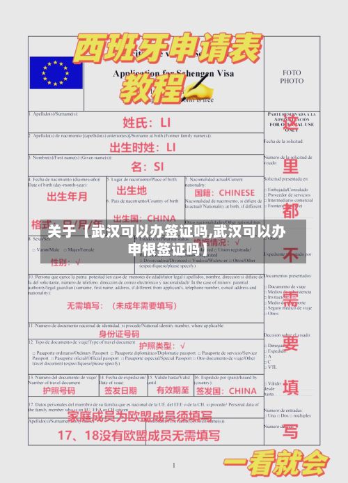 关于【武汉可以办签证吗,武汉可以办申根签证吗】-第2张图片