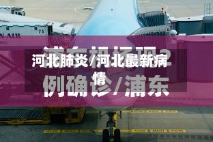 河北肺炎/河北最新病情-第2张图片