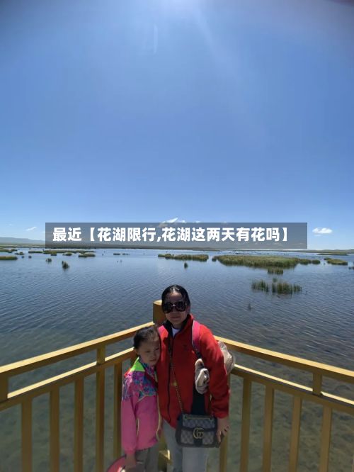 最近【花湖限行,花湖这两天有花吗】-第3张图片