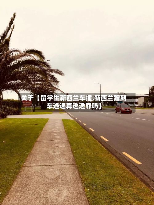 关于【留学生新西兰车撞,新西兰蹭到车逃逸算逃逸罪吗】-第2张图片
