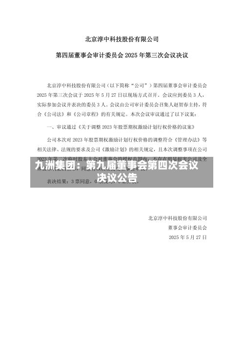 九洲集团:第九届董事会第四次会议决议公告